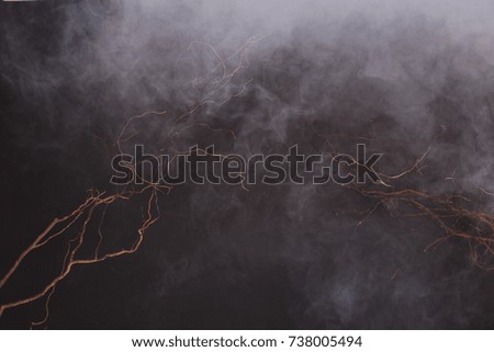 White Smoke and Fog on Black Background, Abstract Clouds with wood branch dry stick look scary, All Movement Blurred, intention out of focus, and high low exposure contrast, copy space for text logo