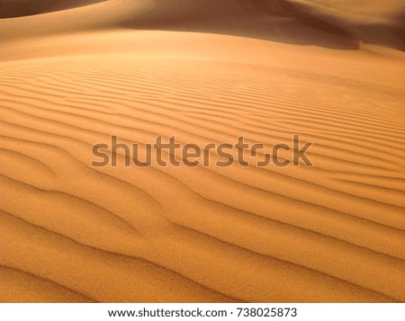 Dune in the desert as a background or texture