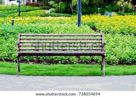 Chair in the beautiful garden