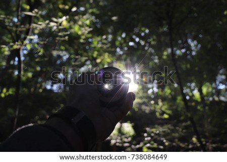 Sun Peeking Through the Trees