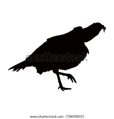 Turkey silhouette, vector illustration