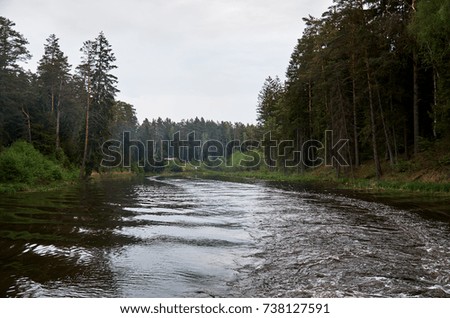 A river in the background of a forest. Green trees.