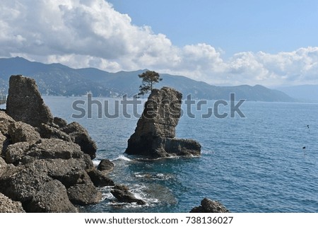 view of Portofino Regional Nature Park in Italy 