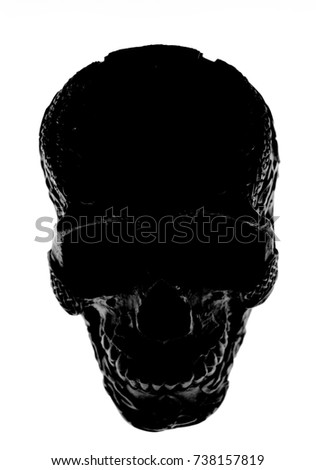 Art Skull front view
White background 
Studio photo 