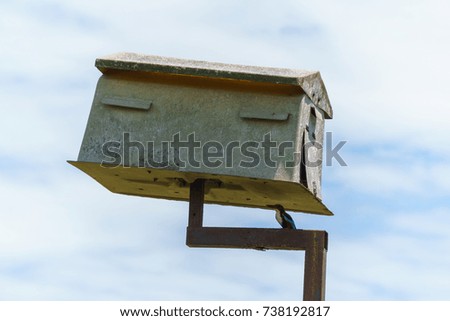 Birdhouse near paddy field and kingfisher bird underneath
