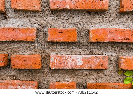 Orange Brick wall for wallpaper.  surface, texture .