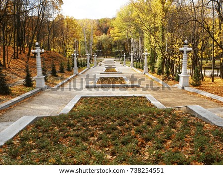 Stairs in autumn Park. The view from the top down. Around the colorful trees. Geometric perspective