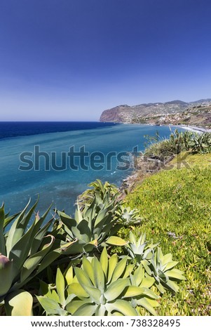 Arid plants dominate the coastline near the town of Funchal in Madeira, Portugal. 