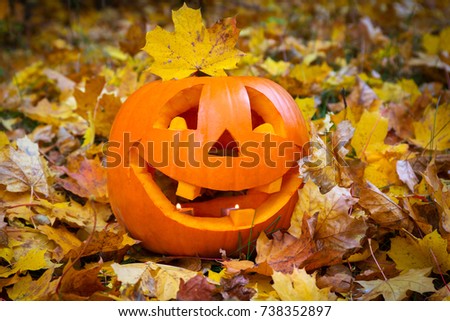 Funny halloween pumpkin on autumnal leaves