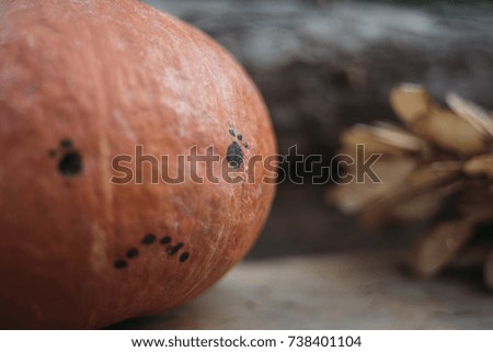 Hokkaido pumpkin with a sad face