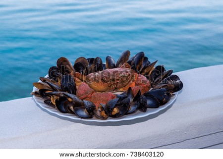Luxury seafood on the plate, on the sea background