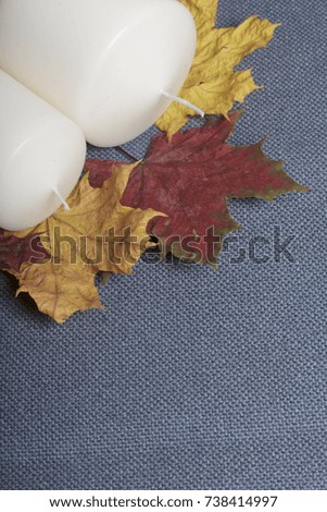 Candles stand on fallen autumn leaves of different colors. All this on a cloth gray background.