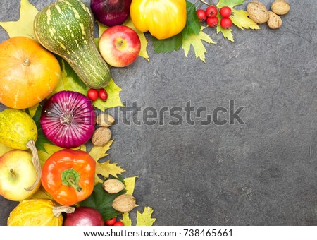 various vegetables and fruits with autumn leaves of maple lie on a gray table. color photography