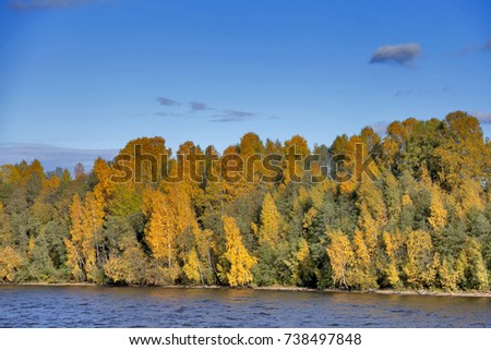 Picture of Forest by River in Autumn