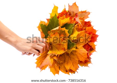 Female hand bouquet of autumn leaves on a white background isolation