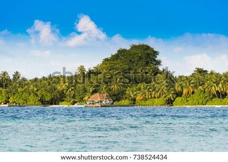 View of a tropical island with coconut palms on a sandy beach, Maldives, Indian ocean. Copy space for text                              