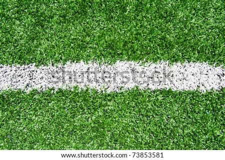 White line on a soccer field grass