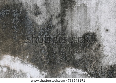 Dirty white wall wallpaper background