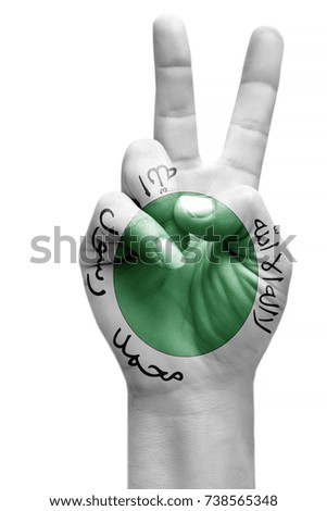 and making victory sign, Somaliland painted with flag as symbol of victory, win, success - isolated on white background