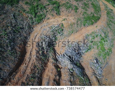 Deforestation. Aerial drone photo of rainforest logging for oil palm plantations,