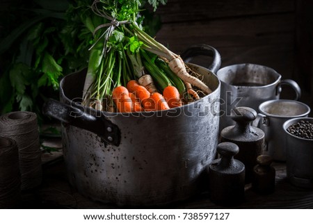 Preparation for homemade broth with carrots, parsley and leek