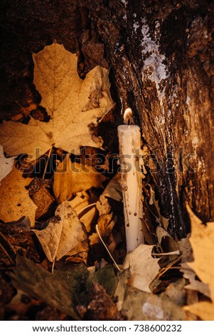 beautiful natural decor for autumnal holiday, old dry maple leaves,  warm candle light
