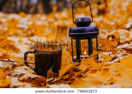 Lantern and cup of tea in bright autumn leafes