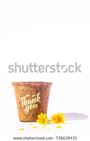 Give Thank you calligraphy on flowerpot with yellow blossoms isolated on white background. Free space for your own text for special day or holiday. Thankful concept,Thank giving day