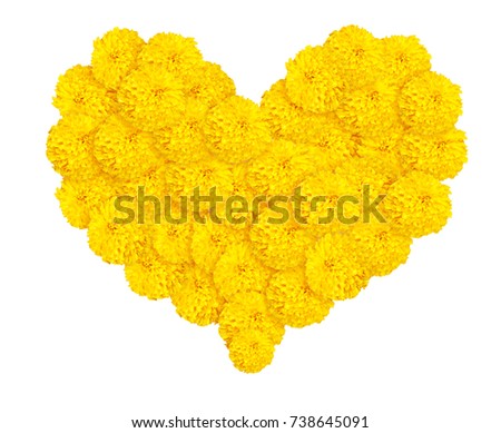 heart shape of marigold or calendula flower isolate on white background