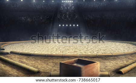 sumo professional grande arena in lights 3d rendering