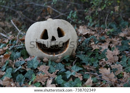 Halloween pumpkin Jack O' Lantern background