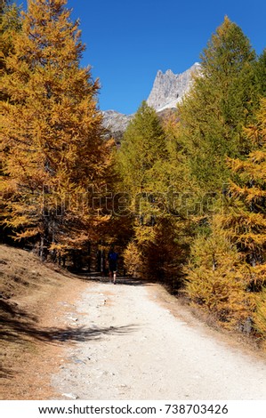Man in blue sport mountaineering trekking outfit is walking 
walking through a mountain trail in autumn mountain nature landscape in a sunny day - Vallestretta, Bardonecchia - Turin - Italy
