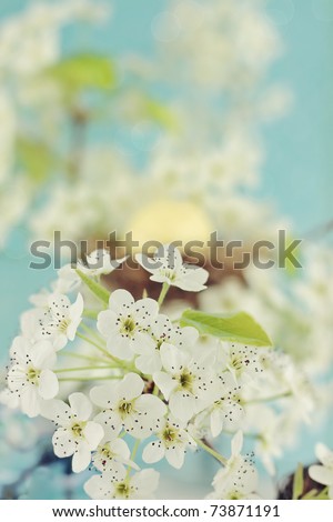 Beautiful spring blossoms with nest and egg in the background. Extreme shallow DOF.