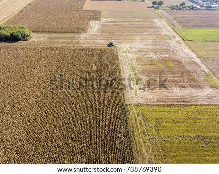 Combine harvester picking seed from fields, aerial view of a field with a combine harvester with cornhusker gathering the crop. Agriculture and cultivation, fields in the countryside