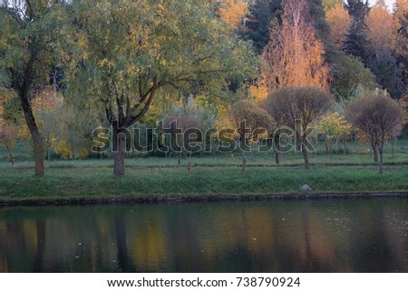 autumn colors in nature