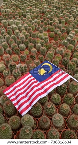malaysian flag over cactus background

