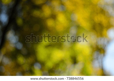 Abstract blurred background based on autumn sunny forest. Yellow, green, orange vivid colors.