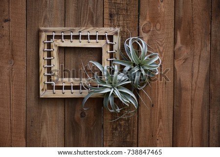 Photo frame, plants, wood wall