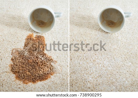 Collage Of Two Images Showing Before And After Carpet Cleaning Royalty-Free Stock Photo #738900295