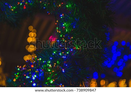 color full christmas lights in a pine tree