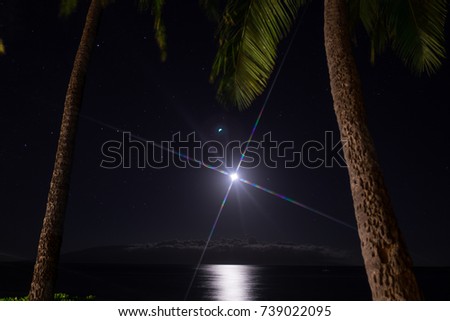 view of the moon and stars at night with palms and ocean on the beach . beautiful 