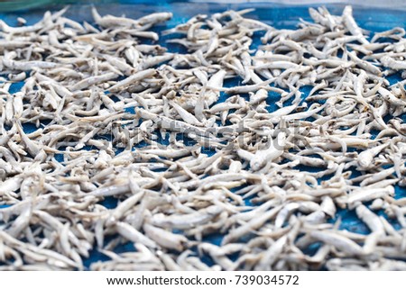 Fish with sun-dried frame To produce food