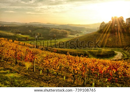 Piedmont, Langhe landscape with vineyards in autumn. Royalty-Free Stock Photo #739108765