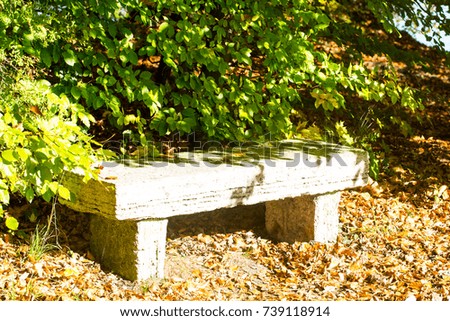 Park bench in autumn