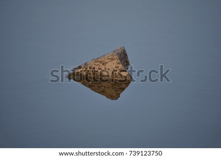 Beautiful stone in centre of gadisar lake jaisalmer Rajasthan India