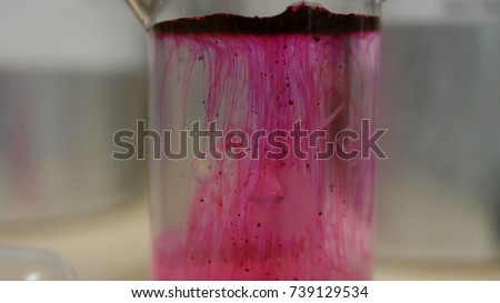 Colored beautiful chemical reaction in flask. Pink or red liquid dissolves in flask. Pink matter in the flask. Pink or red liquid dissolves in flask