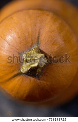Closeup of a fresh orange pumpkin, top view. Selective focus. Macro photography. 