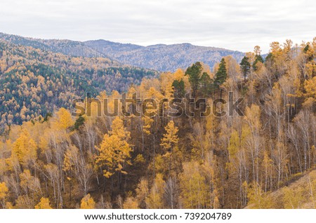 Mountain landscape on a cloudy autumn day in Russia, Siberia