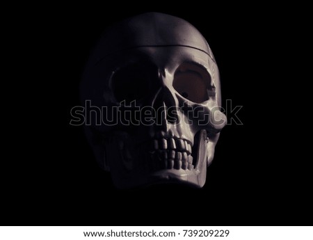 Single human skull in the darkness.