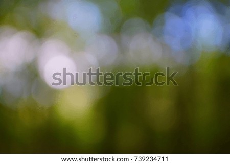 abstract background blurry image of natural forest booked background.